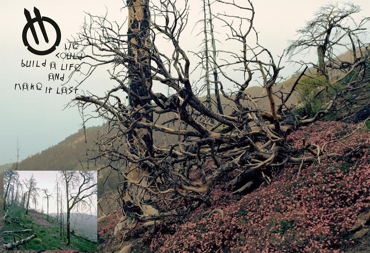 mercedes glk pointer